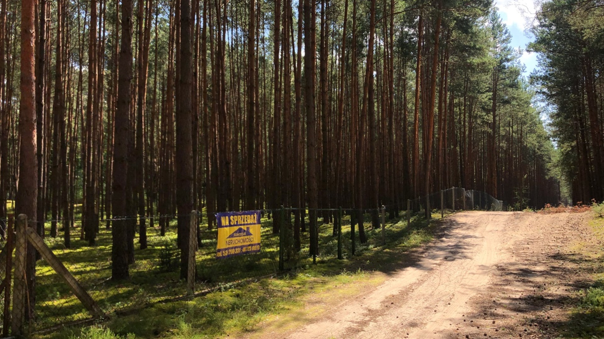 Działka na sprzedaż